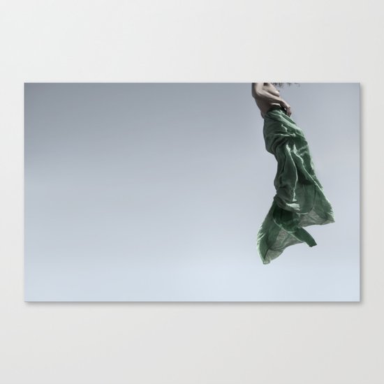 occupy Canvas Print