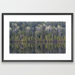 Forest Reflections Framed Art Print