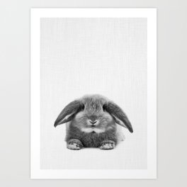 Bunny rabbit sitting Art Print