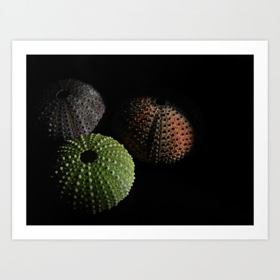 _3_ Art Print