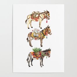Nepal Donkeys Poster
