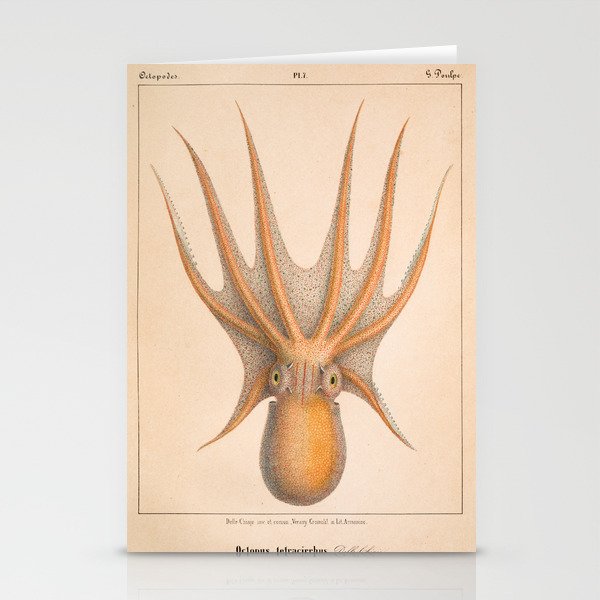 Octopus from "Mollusques Méditeranéens" by Jean Baptiste Vérany, 1851 Stationery Cards