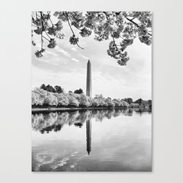 Cherry Blossom in Washington DC Tidal Basin with Washington Monument black and white  Canvas Print