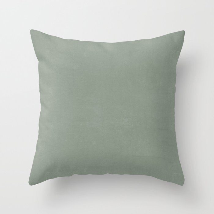 Plain Light Green with Soft Relaxing Texture Throw Pillow by