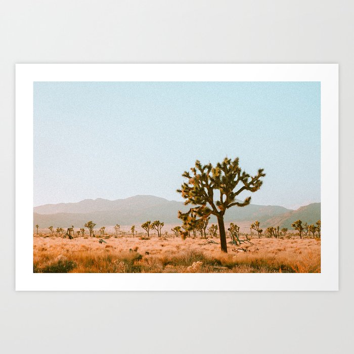 Desert Grounding - Joshua Tree Art Print