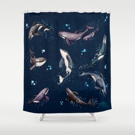 "Orca Pod in Watercolor" by Amber Marine, (Navy Blue Version) Killer Whale Art, © 2019 Shower Curtain