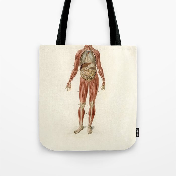 Mythology and Disposition of the Viscera Tote Bag