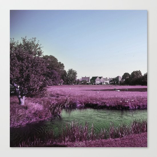 purple flower Canvas Print