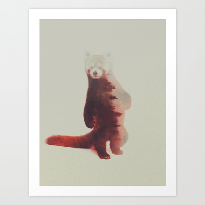 Discover the motif RED PANDA by Andreas Lie as a print at TOPPOSTER