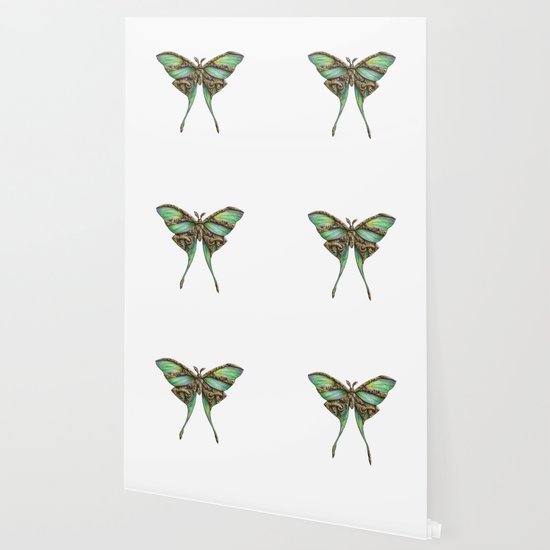 Steampunk Green Luna Moth Wallpaper By Ennas Society6