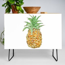 pineapple  ink and watercolor painting Credenza