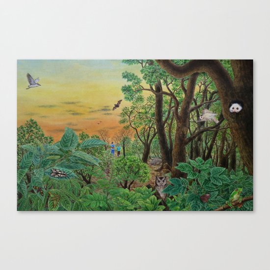 A Day of Forest (9). (the forest at night) Canvas Print