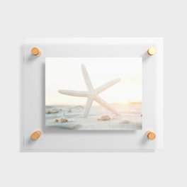 White Starfish Floating Acrylic Print
