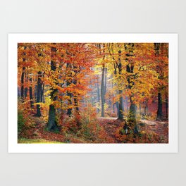 Colorful Autumn Fall Forest Art Print