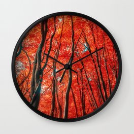 Red Forest of Sunlight Wall Clock | Redforest, Treetrunks, Other, Brightred, Vibrant, Autumn, Scarlet, Forest, Photo, Colortree 
