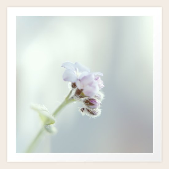 Lullaby Art Print