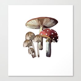 Mushroom Trio Canvas Print
