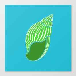 Lime Green and Blue Sea Shell Canvas Print