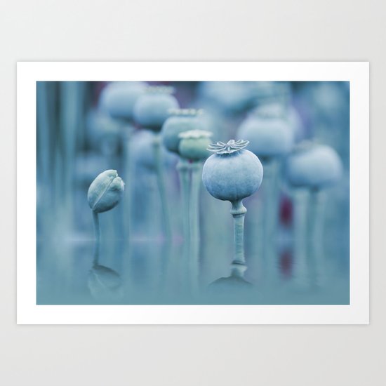 Poppy capsules blue style Art Print