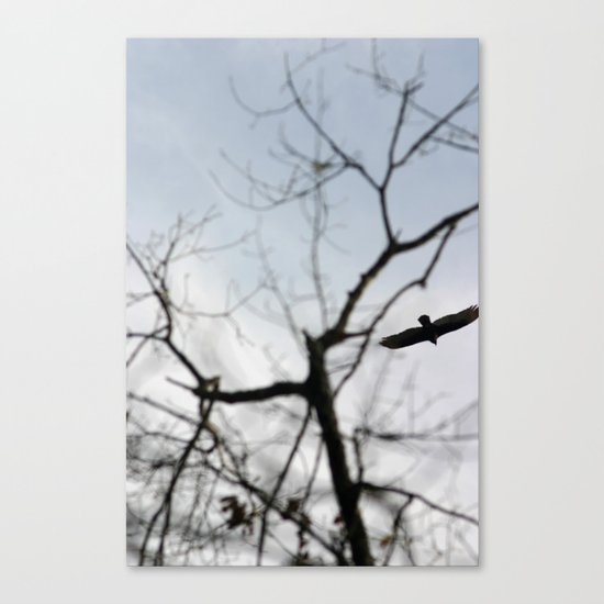 Wings Canvas Print