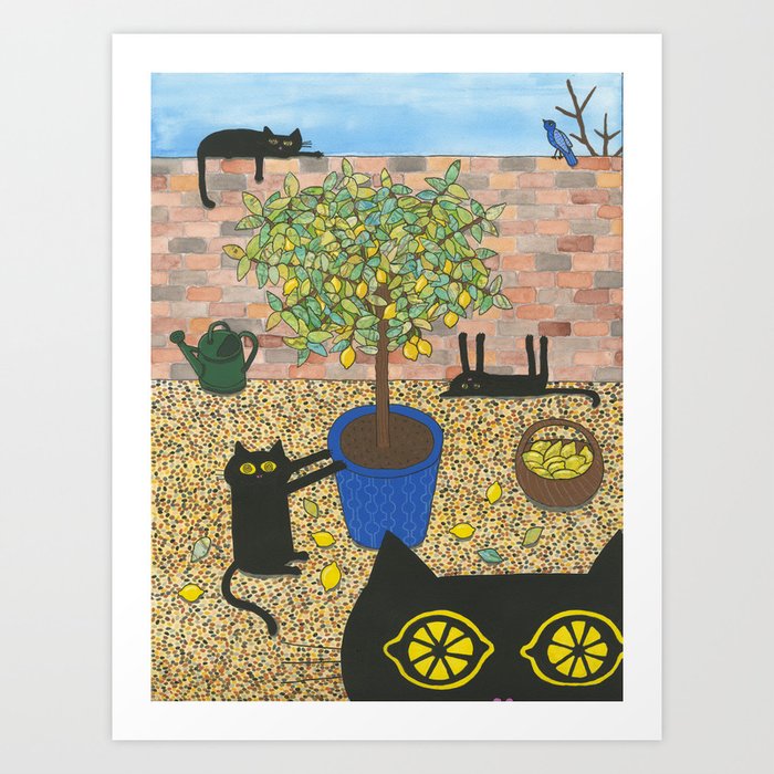 Lemon tree shop and cats