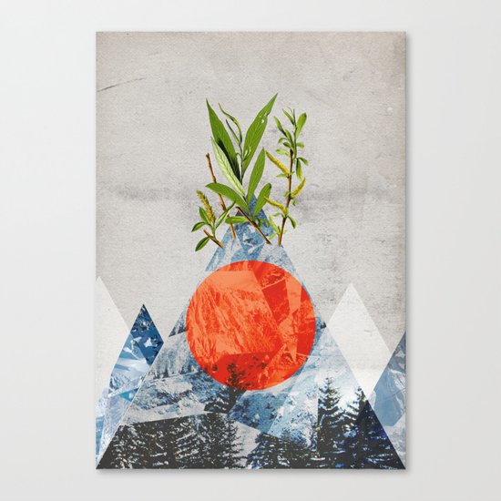 Navrhbrdavrbamrda Canvas Print