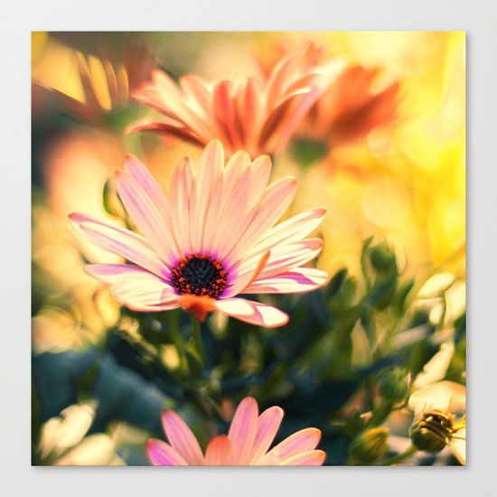 A Piece of Summer Canvas Print