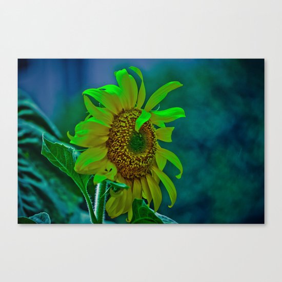 The Moody Flower Canvas Print