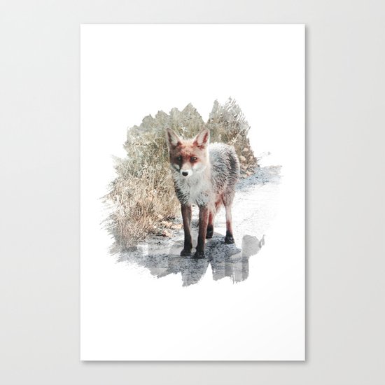 How I met a Fox Canvas Print