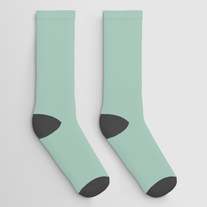 Light Aqua Green Gray Solid Color Pantone Lichen 15-5812 TCX Shades of Blue-green Hues Socks