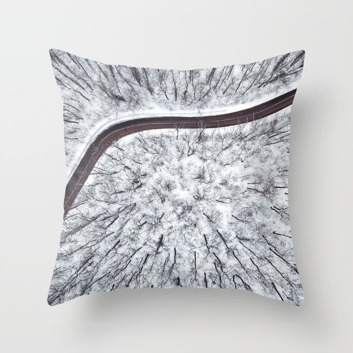 Winter forest and Road. Top view. Throw Pillow