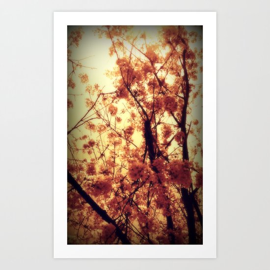 Burst Into Light Art Print