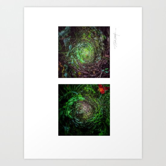 Nature's Twisted Path Art Print