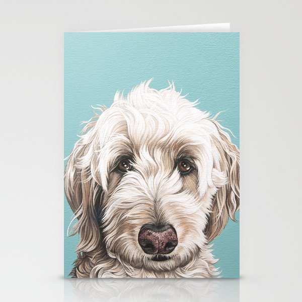 Labradoodle stuff shop