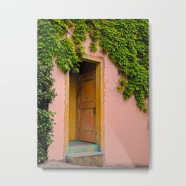 Doorway and Vines Metal Print