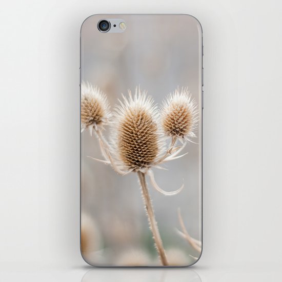 Thistles iPhone & iPod Skin