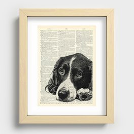 Vintage Springer Spaniel Recessed Framed Print