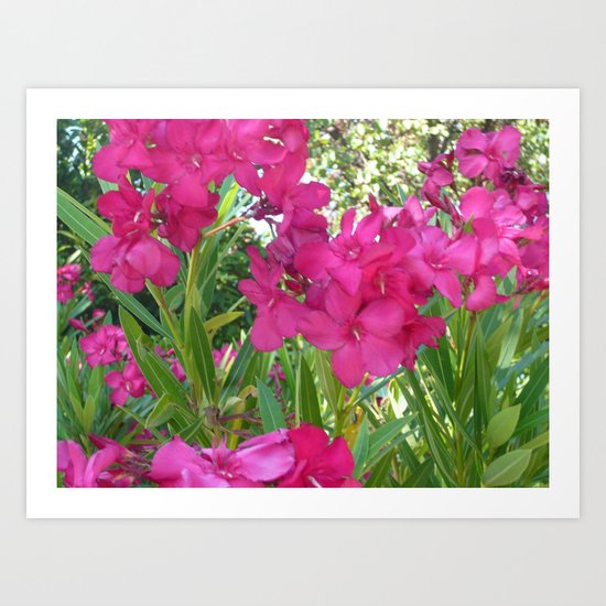 Pretty in Pink Art Print