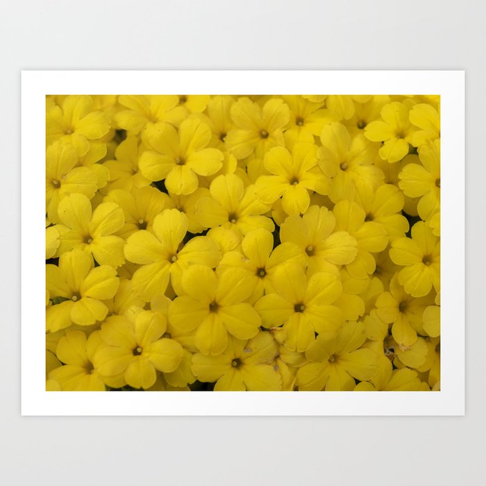 Yellow Art Print by AngieC333 Society6