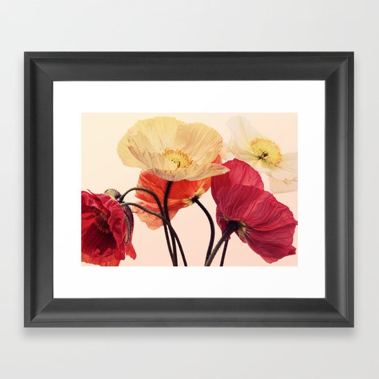 Posing Poppies - bright, vintage toned poppy still life Framed Art Print