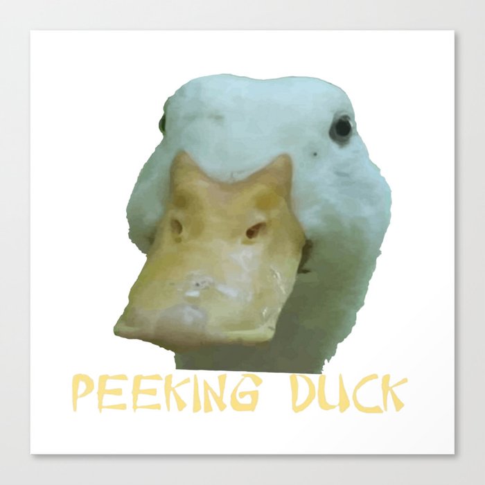Peeking Duck With Fun Oriental Text Canvas Print