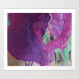 Iris Art Print