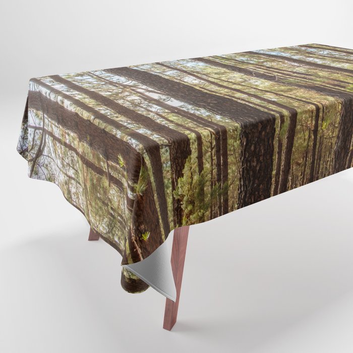 Forest Background - Trees,  Landscape Photography  Tablecloth