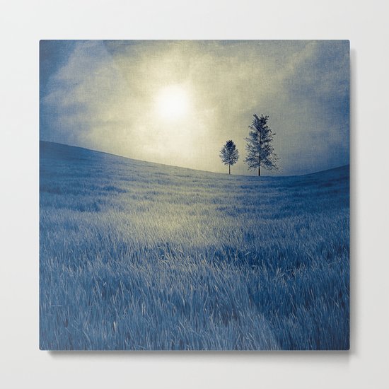Blue field Metal Print