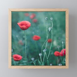 Red poppies field, Botanical art Framed Mini Art Print