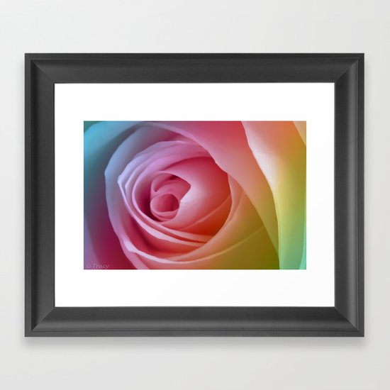 Pastel Rose Framed Art Print
