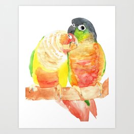 Green cheeked conure watercolor lover Art Print
