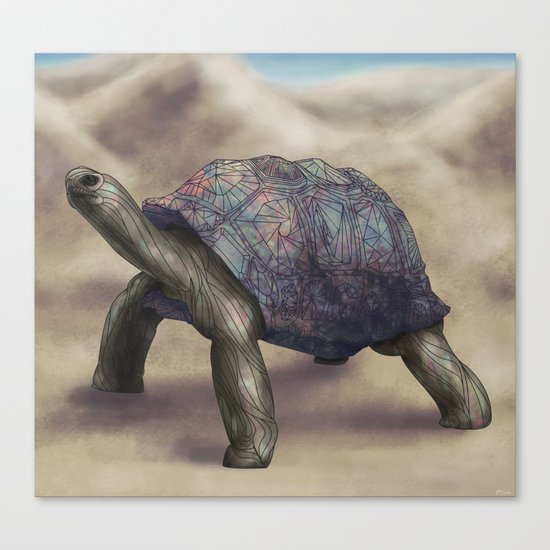 Tortoise Canvas Print