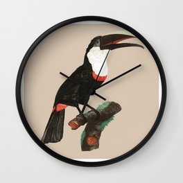 Vintage Toco toucan illustration wall art print and poster Wall Clock | Vintagebird, Graphicdesign, Botanicalart, Bird, Funny, Birdset, Jungle, Watercolortoucan, Summer, Tocotoucancover 
