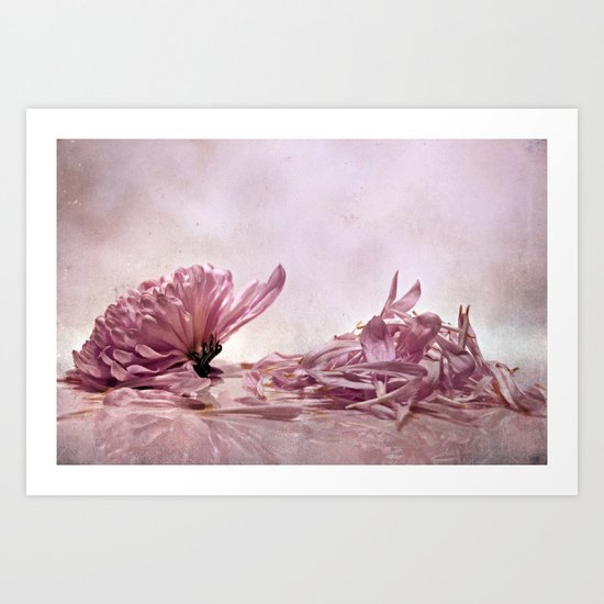 He loves me..He loves me not..He loves me... Art Print